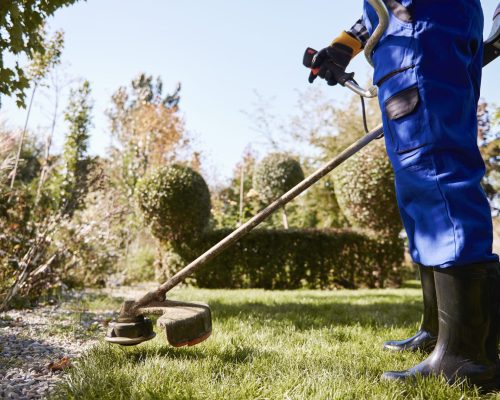 Gardener with weedwacker cutting the grass in the garden