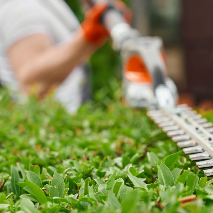Close up of strong man shaping overgrown bushes with electric hedge trimmer during summer time. Gardening and landscaping process.